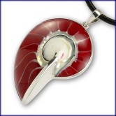 Roter Nautilus Muschel Anh�nger in Silber gefasst