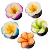 Plug  Hibiskus Leder Bl�te  in verschiedenen Farben