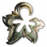 Mother of Pearl Expander  Pearl Oyster 