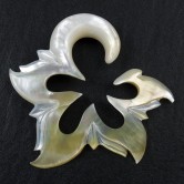 Perlmutt Expander  White Shell Flower 