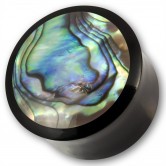 Horn Plug mit Paua Muschel Perlmutt Inlay 