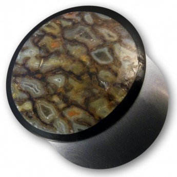 Horn Plug mit fossilem Dinosaurierknochen