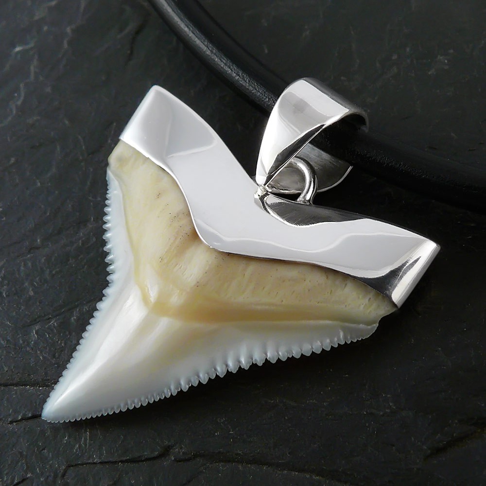 SILBER ANHÄNGER HAI ZAHN HAIFISCHZAHN SHARK TOOTH surf